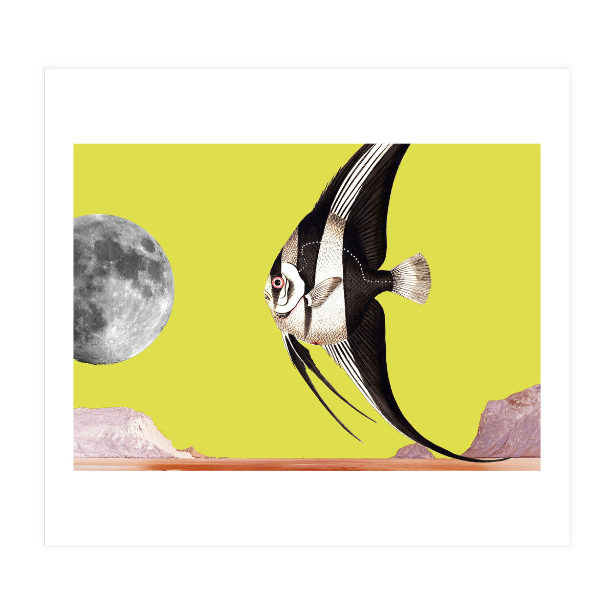 Plenty of fish in the sea yellow (Print Only)