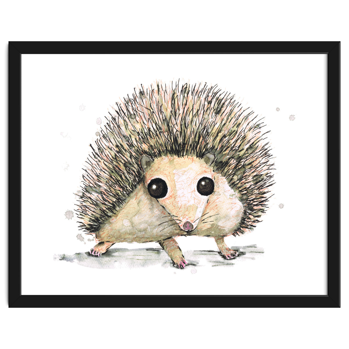 Hedgehog