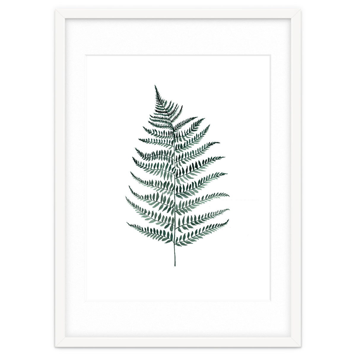 Botanical Illustration Silverfern