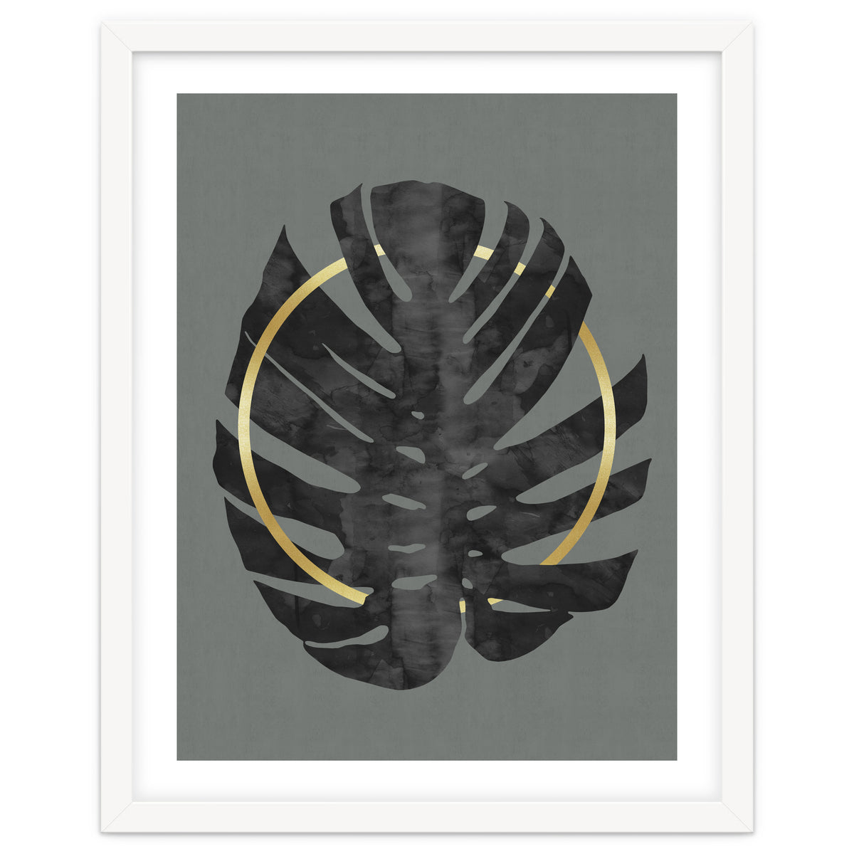 Monstera Deliciosa I