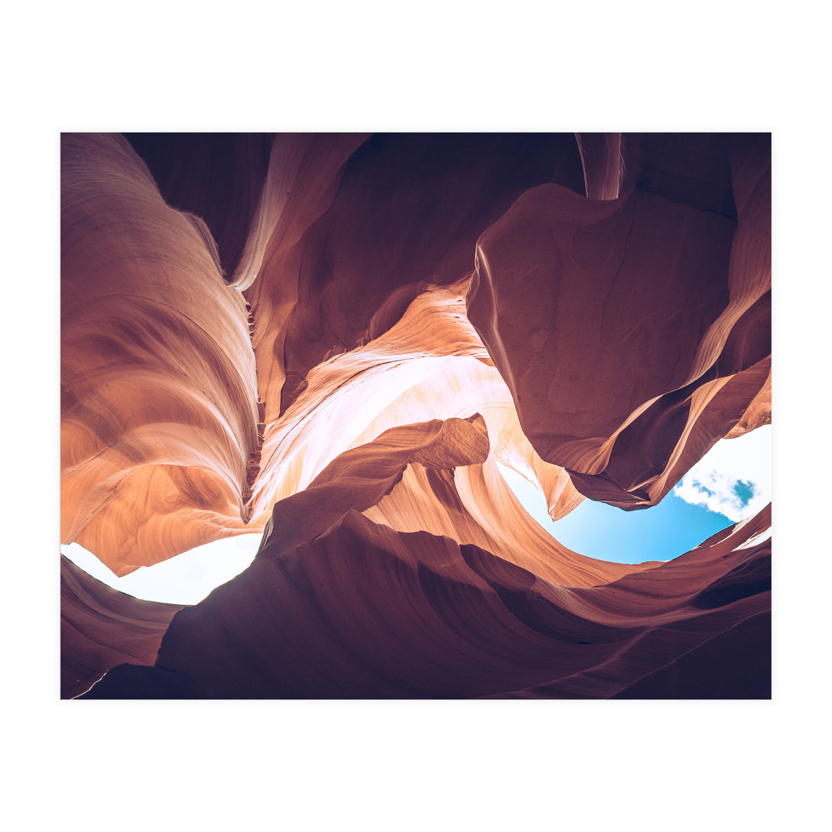 Twisted (Print Only)