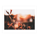 Nature (Print Only) thumbnail
