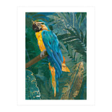 Macaw Meditation in the tropical jungle (Print Only) thumbnail
