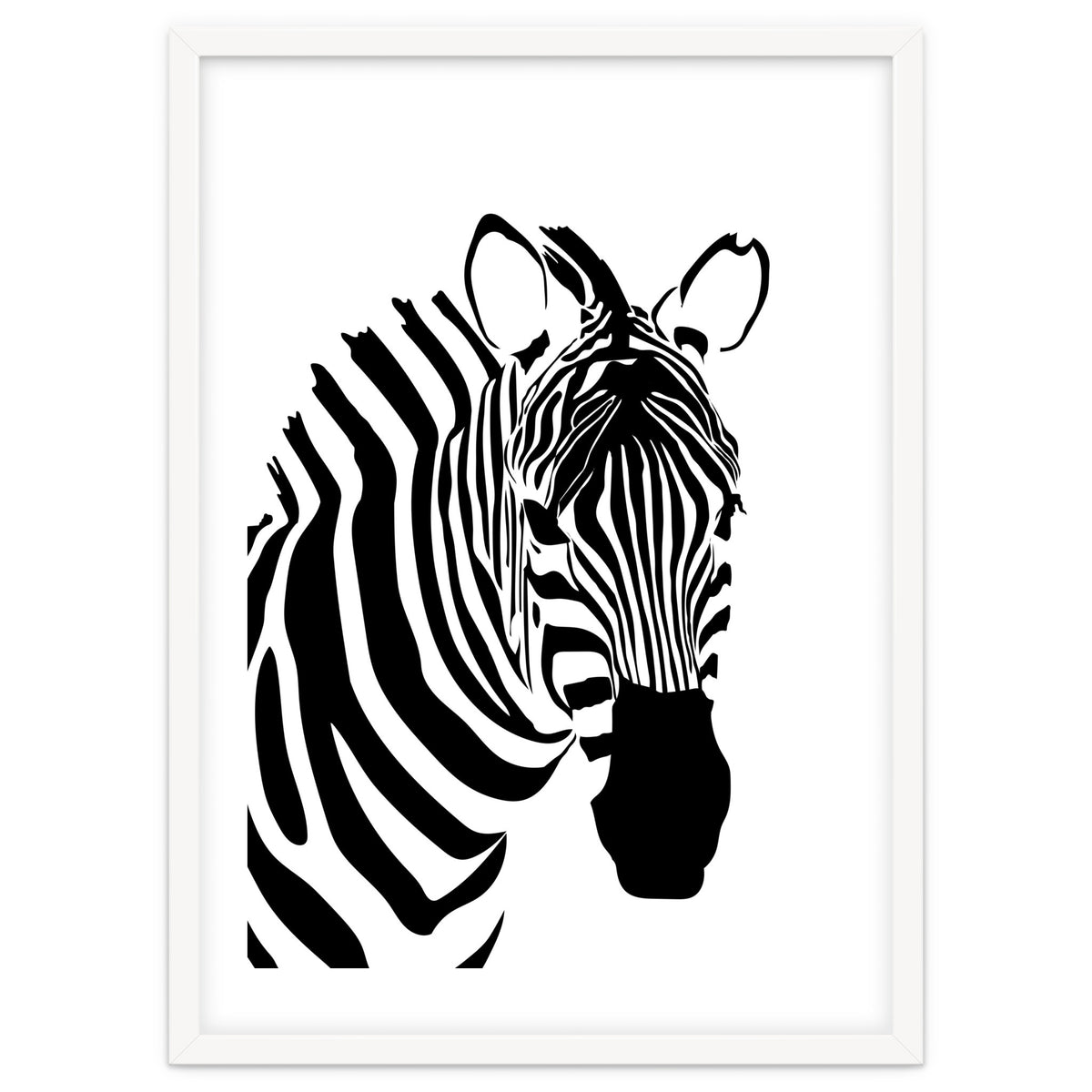 Zebra Stripe - Monochrome
