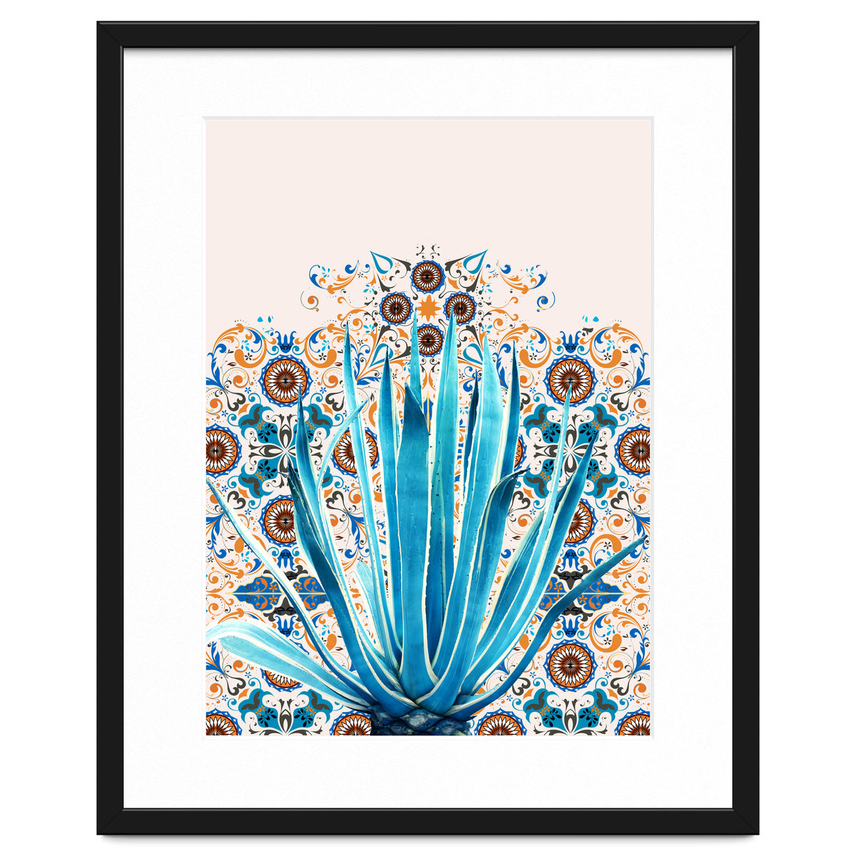 Cactus and Moroccan tiles