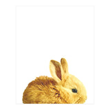Bunny Portrait (Print Only) thumbnail