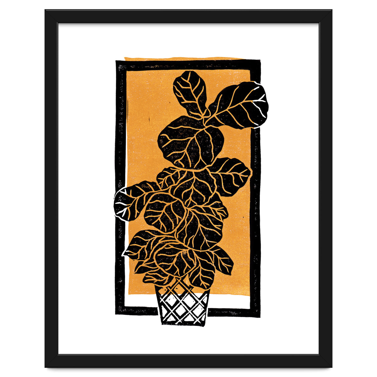 Fiddle Leaf Fig Clean + Sunlight