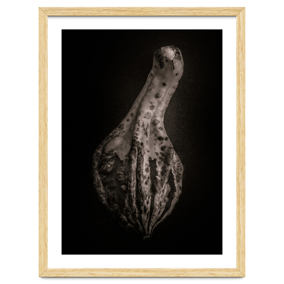 Gourds No 3