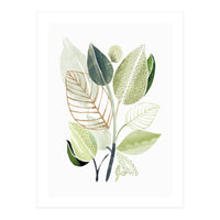 Spring Botanical Collage (Print Only)