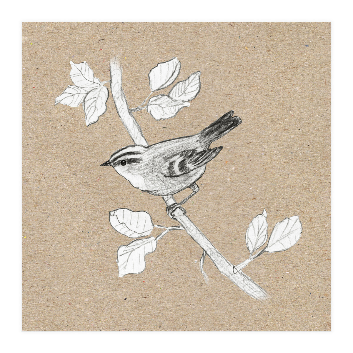 Gold crest (Print Only)