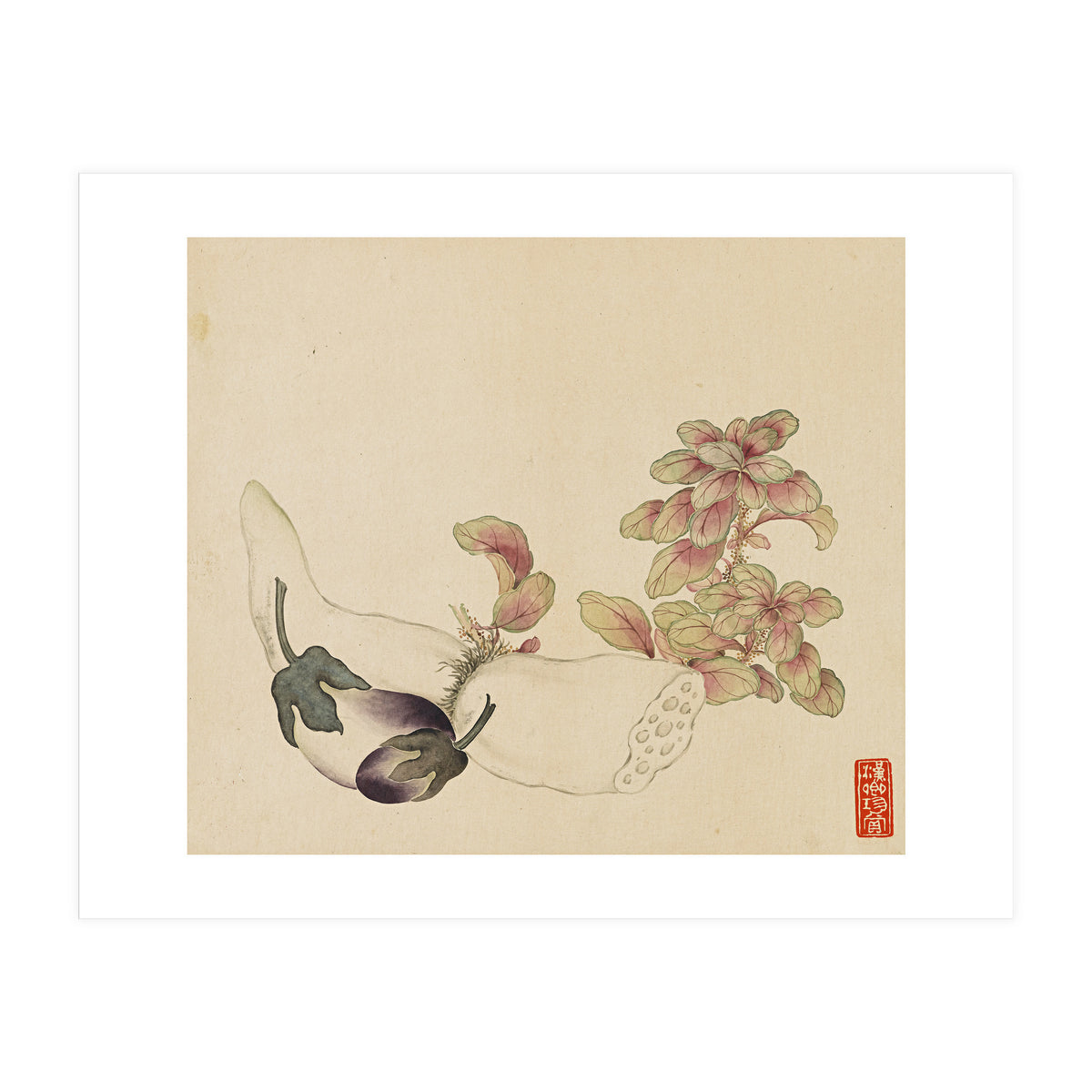 Wang Chengyu ~flowers, Vegetables, Fruits, Eggplant, Lotus Root (Print Only)