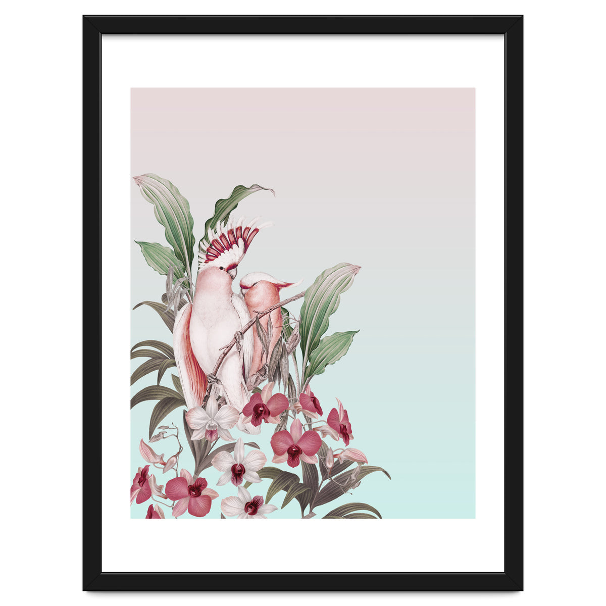 Pastel Cockatoos Paradise