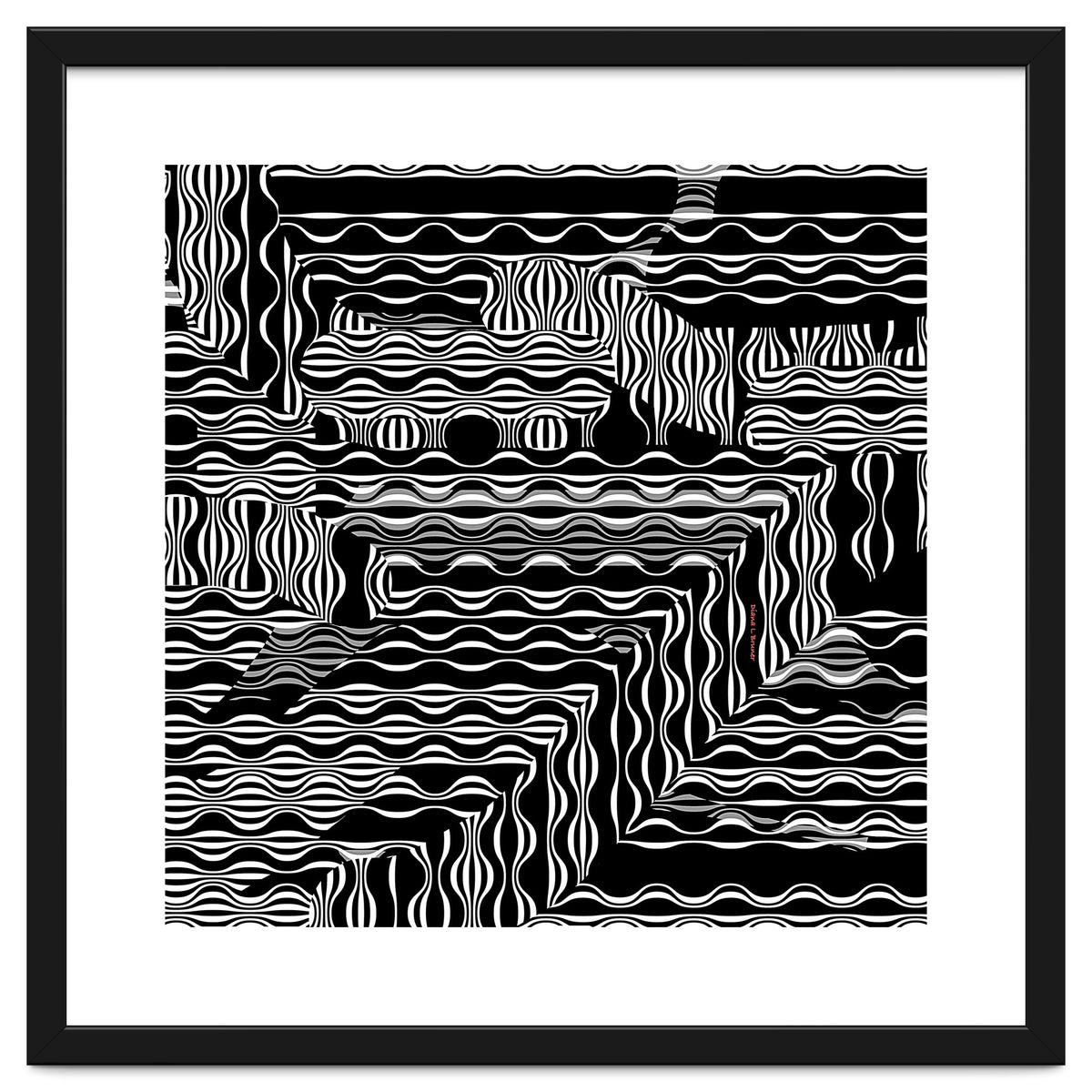 BLACK AND WHITE EXOTIC