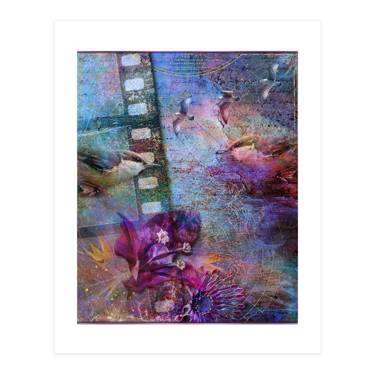 Watching the Wild World (Print Only)