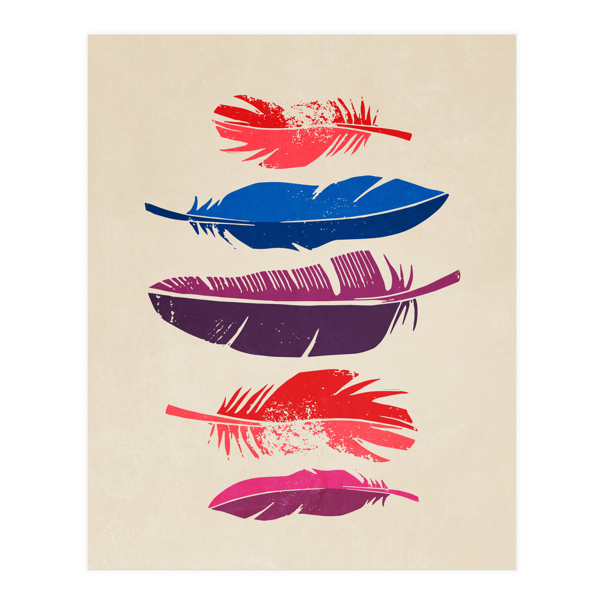 Feathers (Print Only)