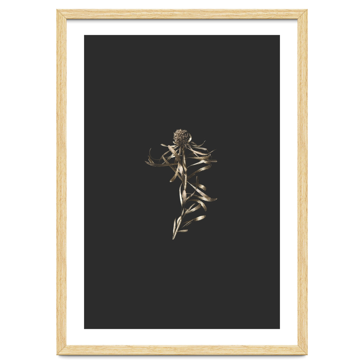 Magical Golden Fynbos