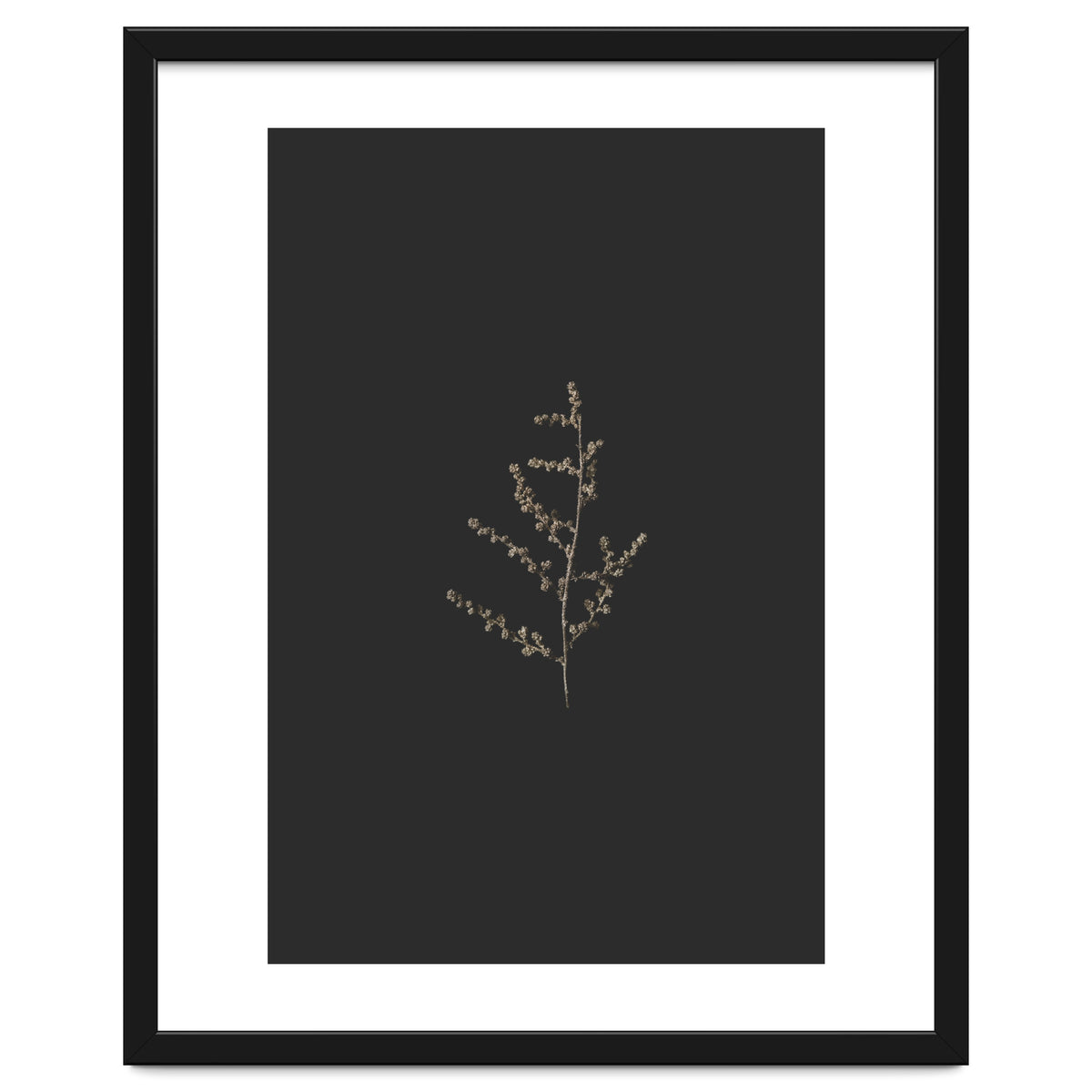 Dainty Botanicals in Gold and Black