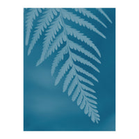 Pteridopsida 2 (Print Only)