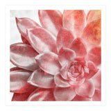Rough Beauty 2 (Print Only) thumbnail