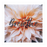 Breathe  (Print Only) thumbnail