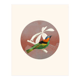 Bird Collage II (Print Only) thumbnail