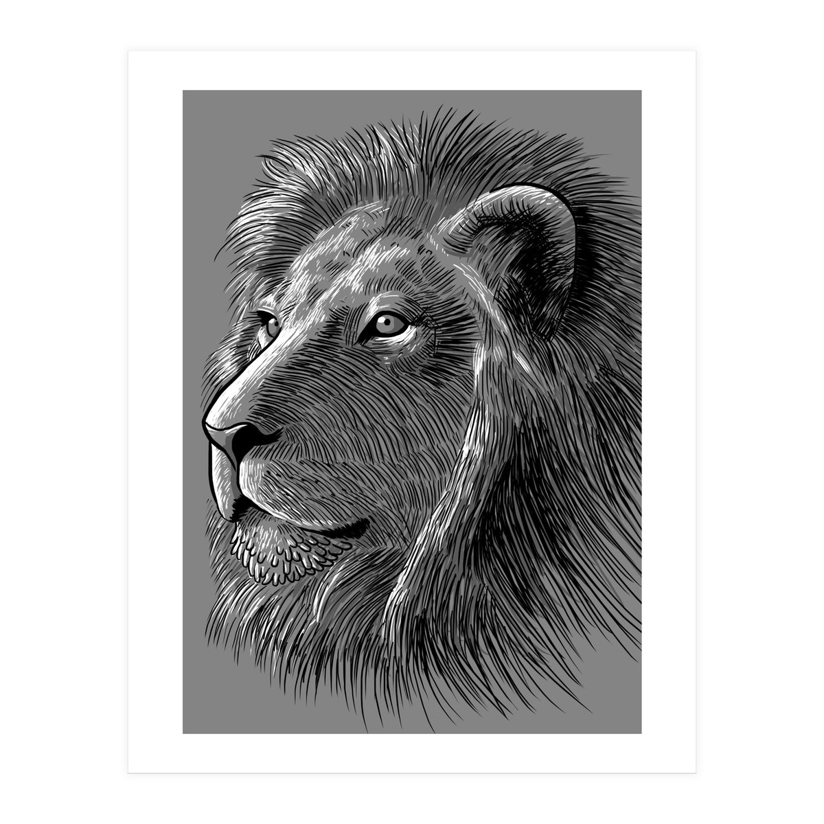 Sketch Lion (Print Only)