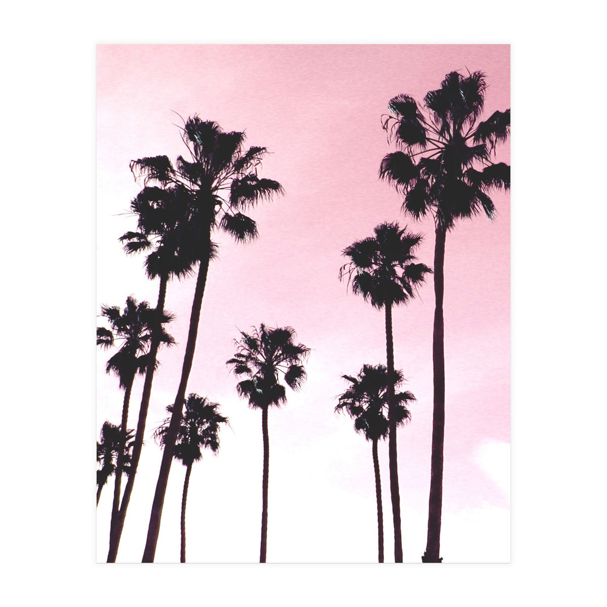 Palms & Sunset (Print Only)