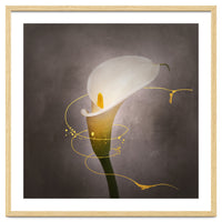 Graceful flower - Calla No. 4 | vintage style gold