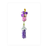 The Flower (Print Only) thumbnail