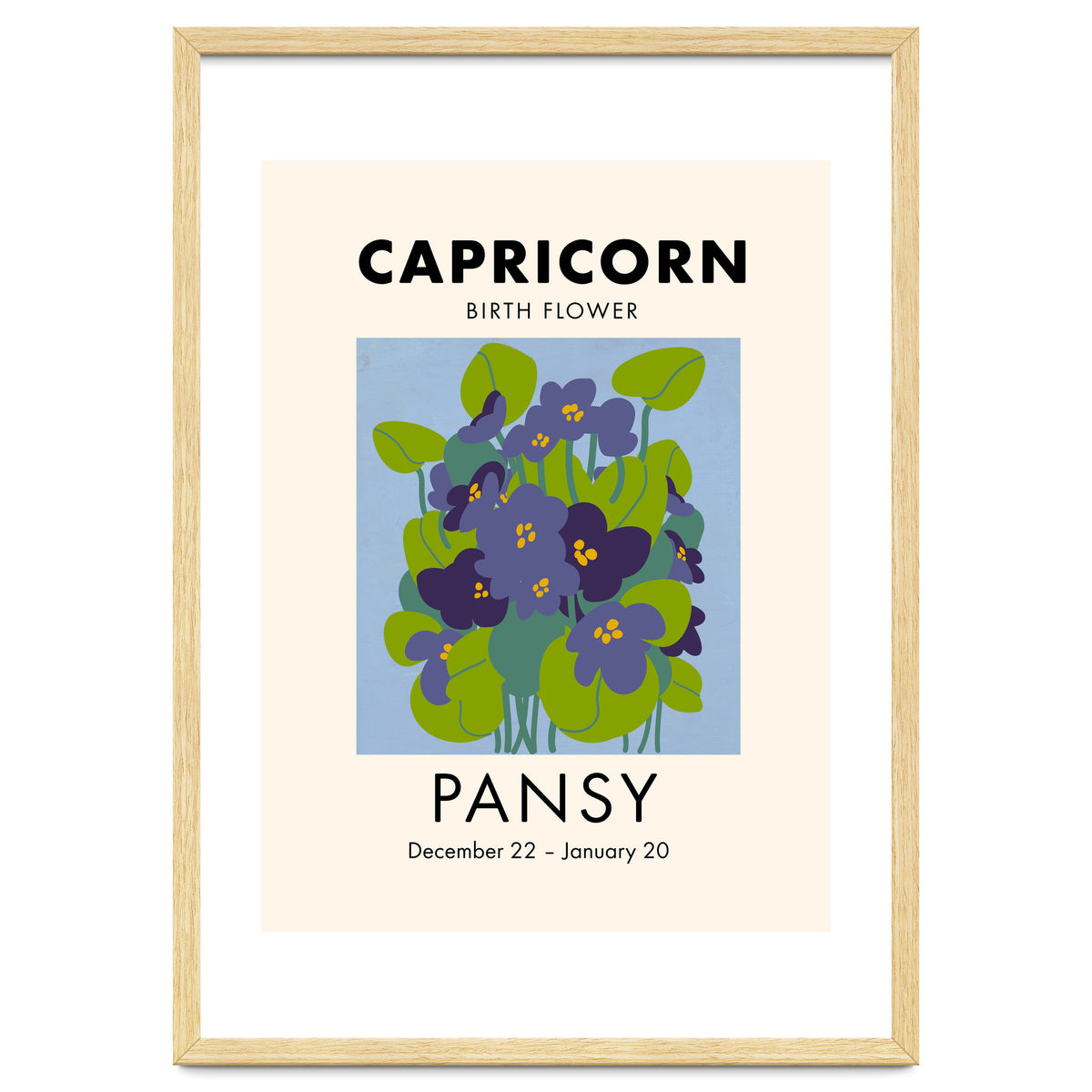 Capricorn Birth Flower Pansy