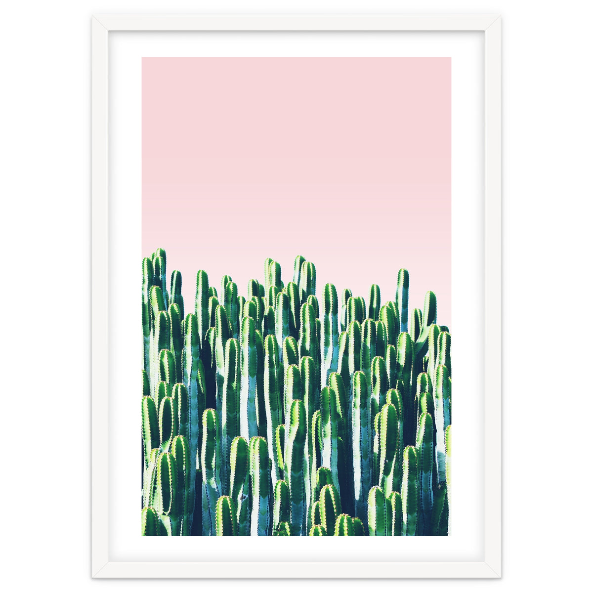 Cactus & Sunset I