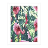Wild Hibiscus (Print Only) thumbnail