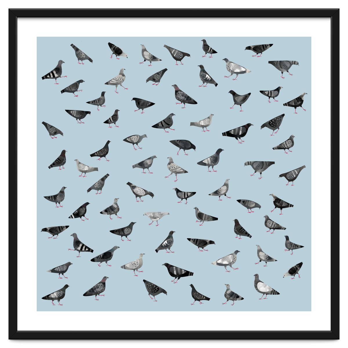 Pigeons Doing Pigeon Things