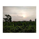 Never Ending Journey (Print Only) thumbnail