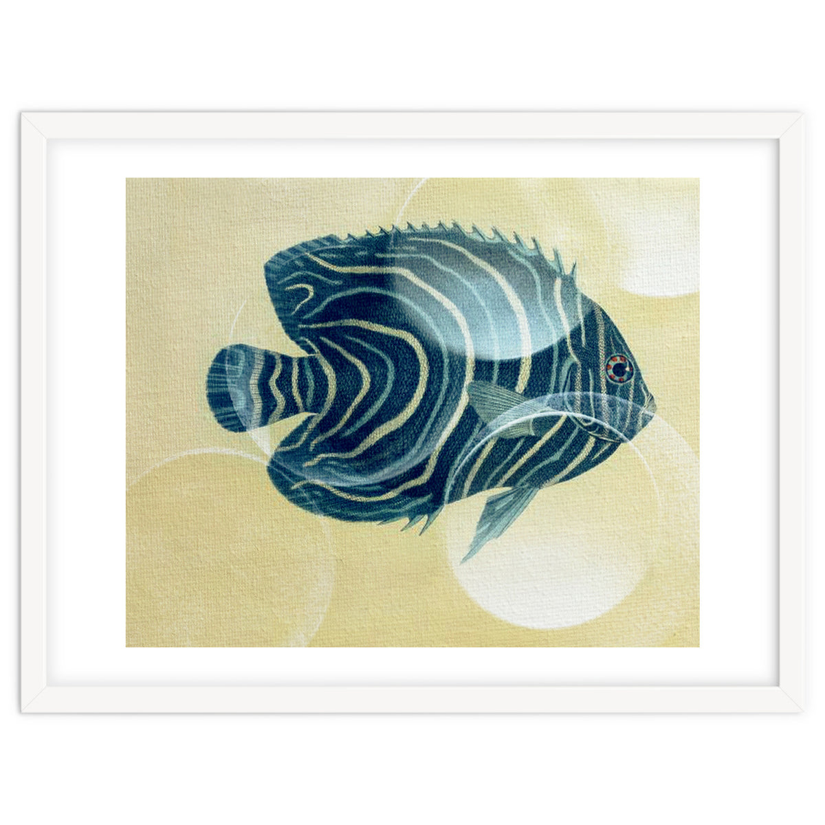 Fish Between Circles