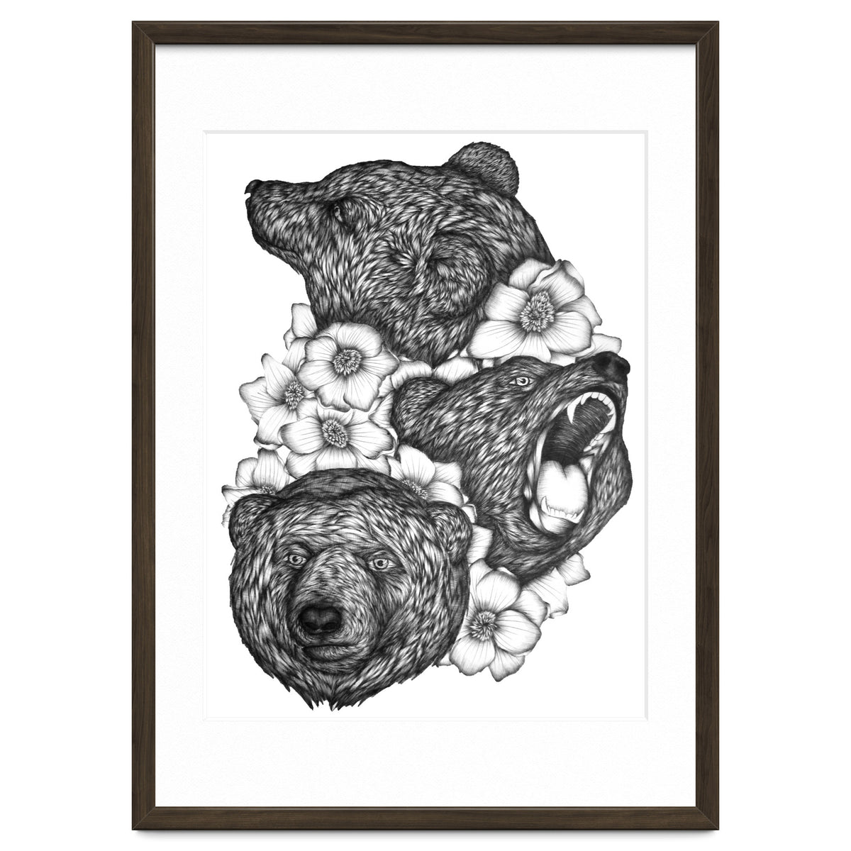 Bears In Bears