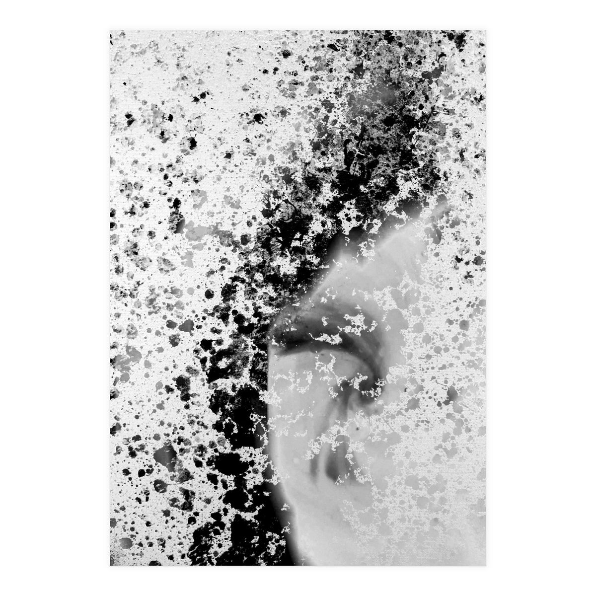 Prisma Black  (Print Only)