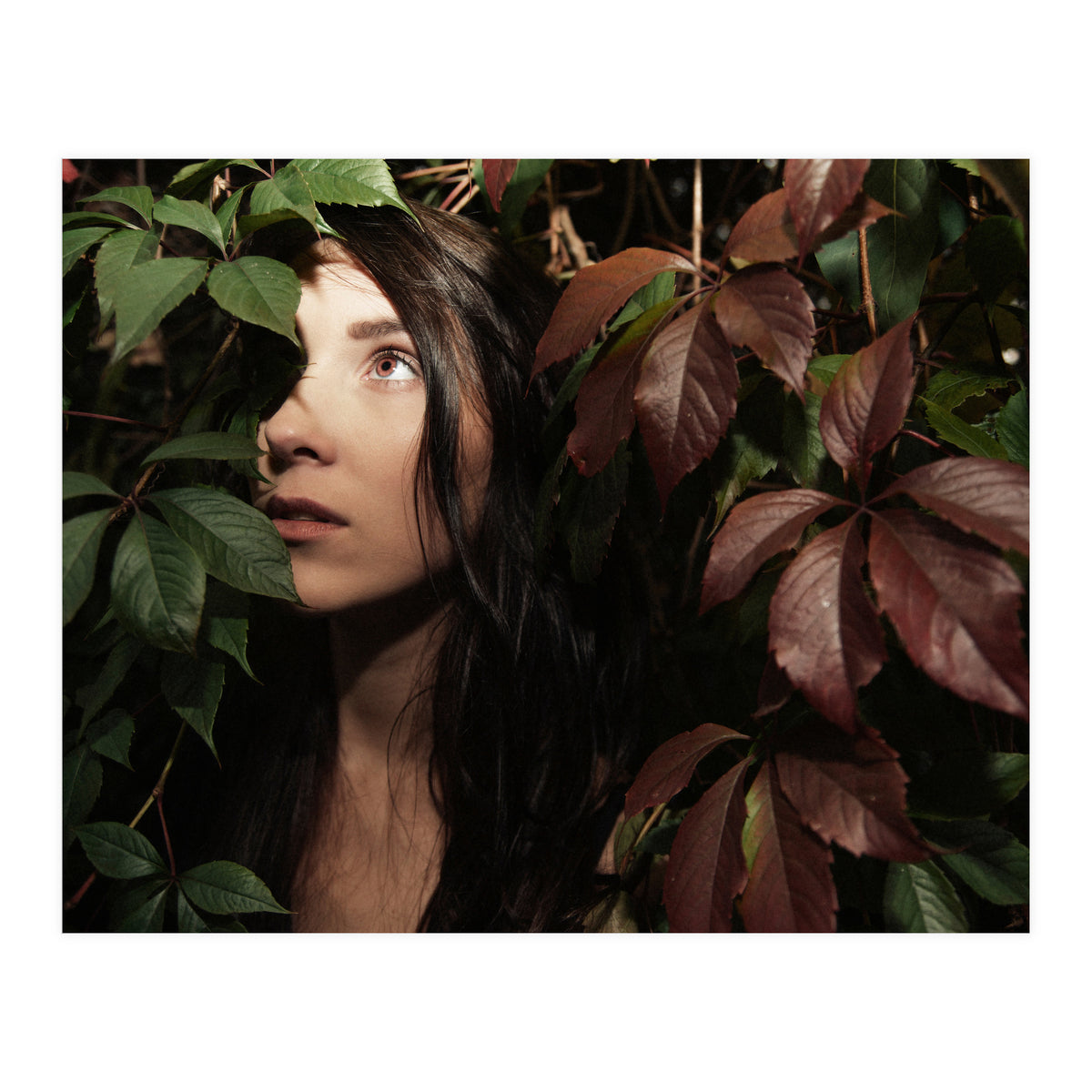 Autumn Portrait (Print Only)