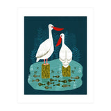 Pelicans (Print Only) thumbnail