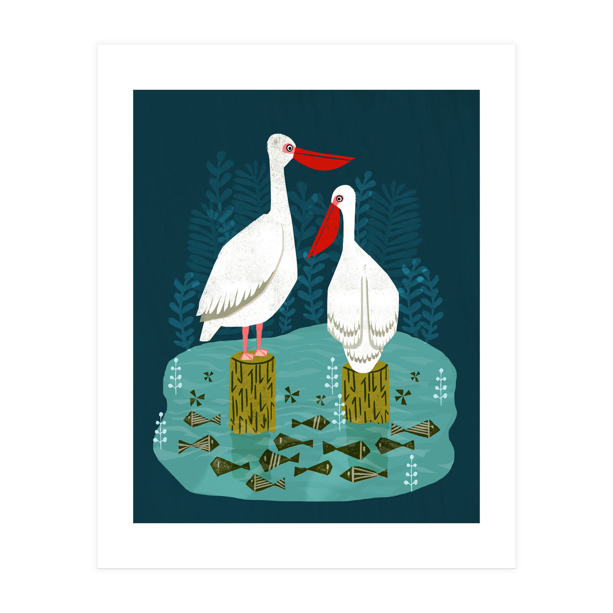 Pelicans (Print Only)