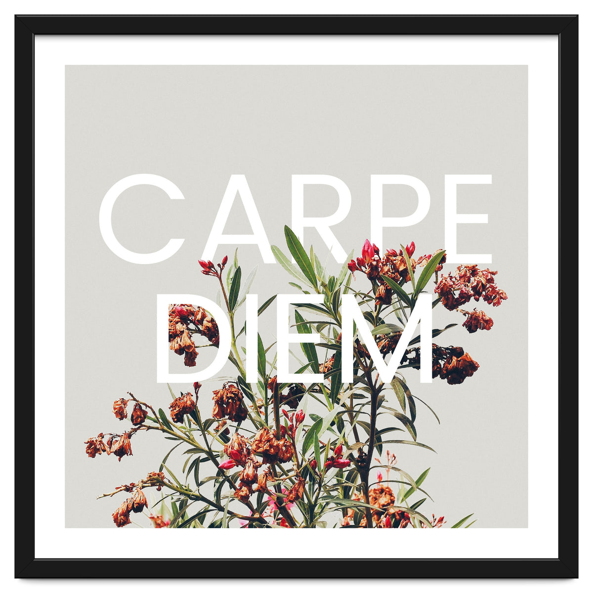 Carpe Diem