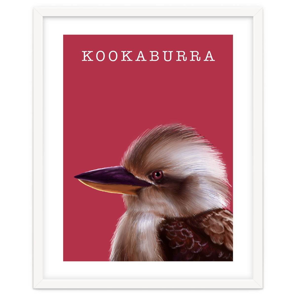 Kookaburra