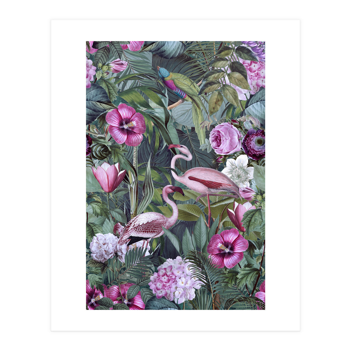 Flamingos 3 (Print Only)