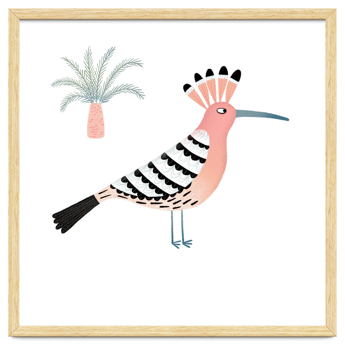 Hoopoe
