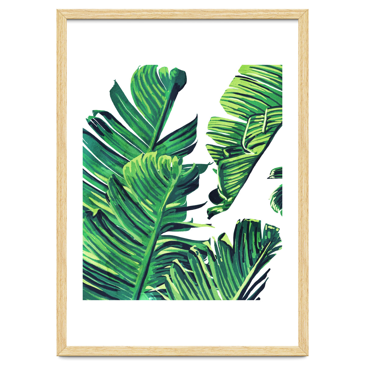 Banana Tree Leaves