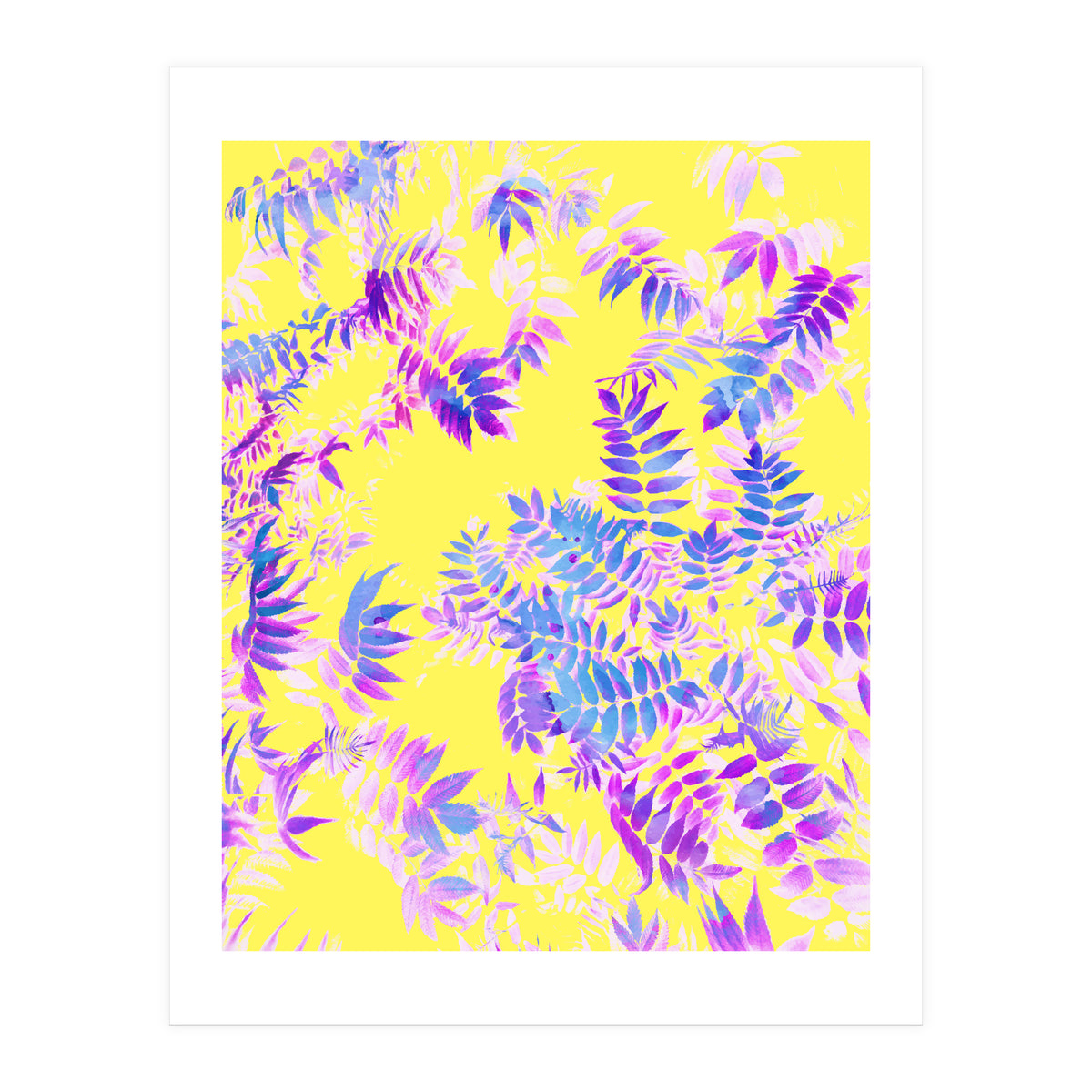 Vibrance (Print Only)