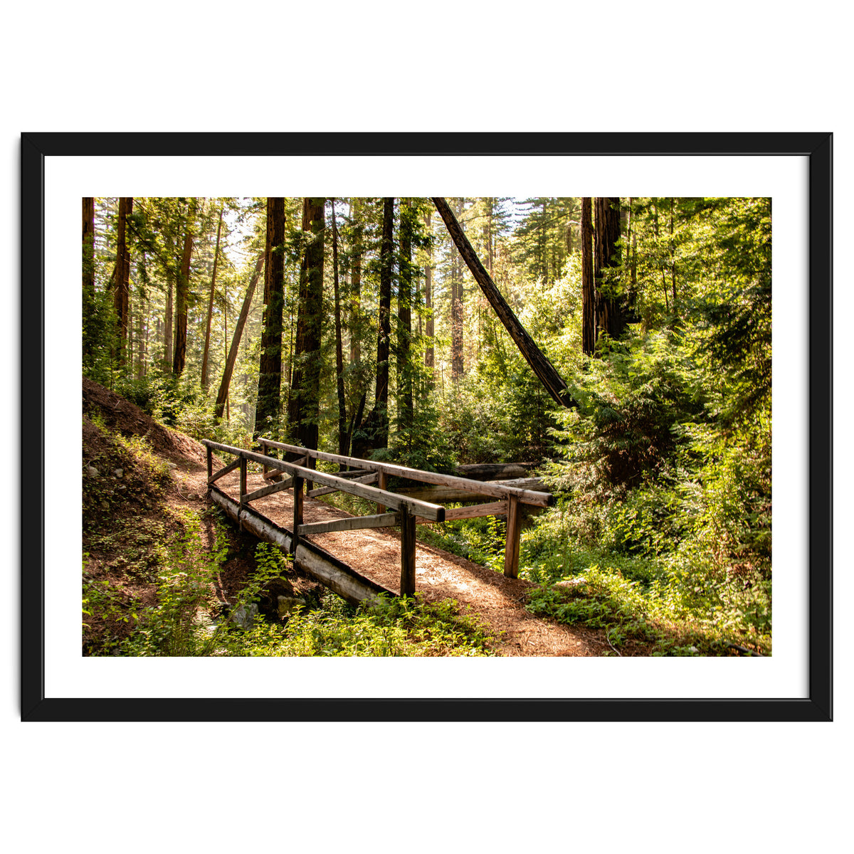 Ewoldsen Trail Bridge