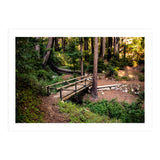 Ewoldsen Loop Bridge (Print Only) thumbnail