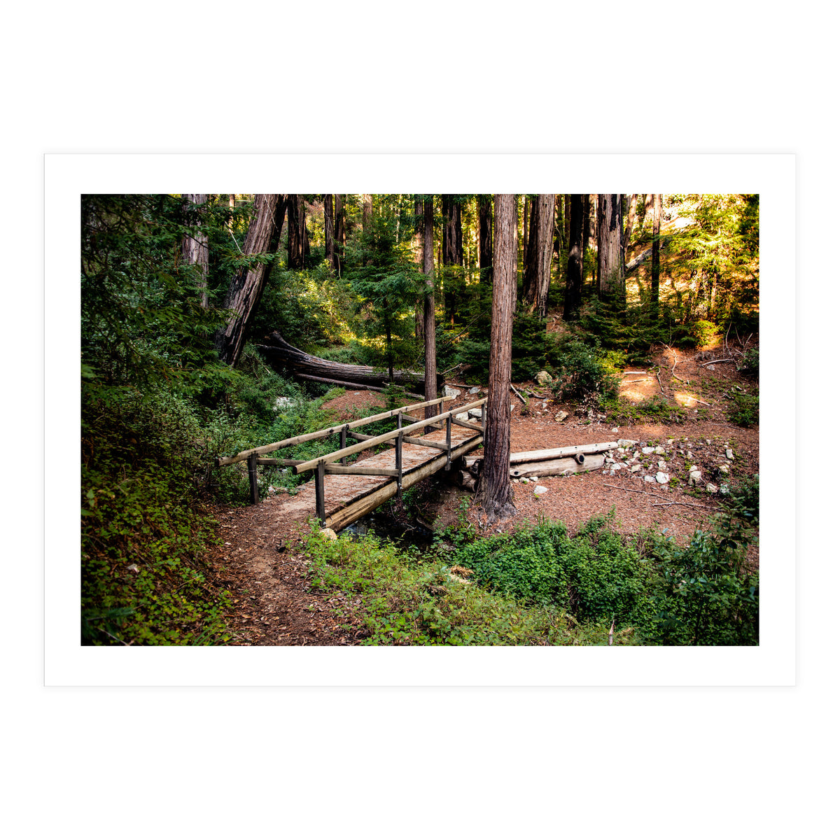 Ewoldsen Loop Bridge (Print Only)