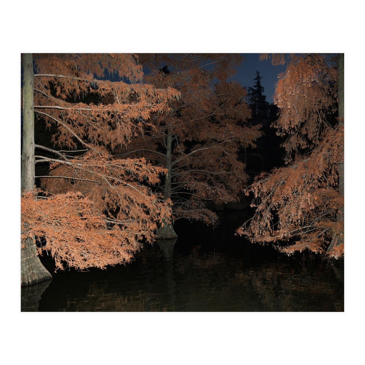 Sleepy Hollow (Print Only)